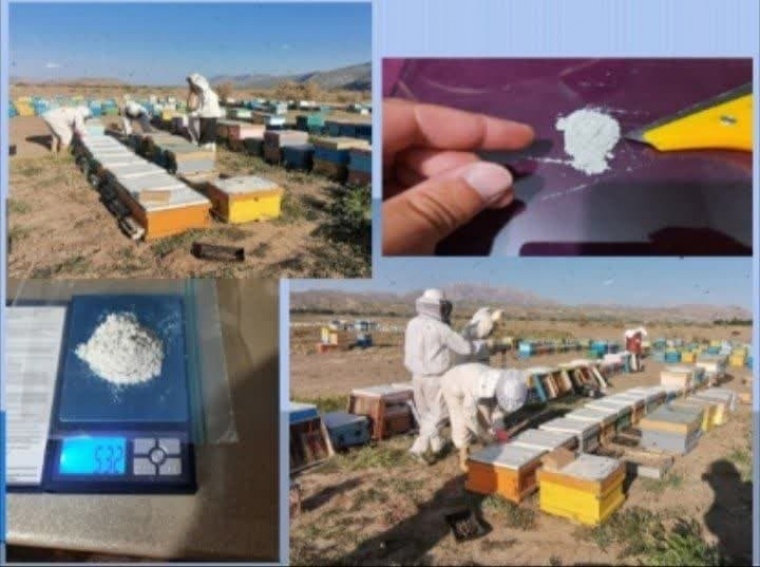 /media/k2/items/cache/0075207d9a2fbdb5924d4a89c801da5f_L.jpg